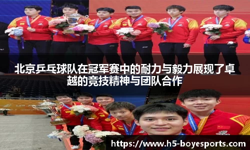 北京乒乓球队在冠军赛中的耐力与毅力展现了卓越的竞技精神与团队合作